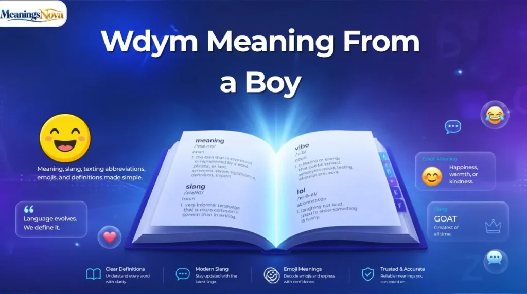 Wdym Meaning From a Boy